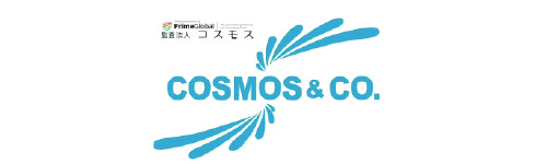 監査法人コスモス